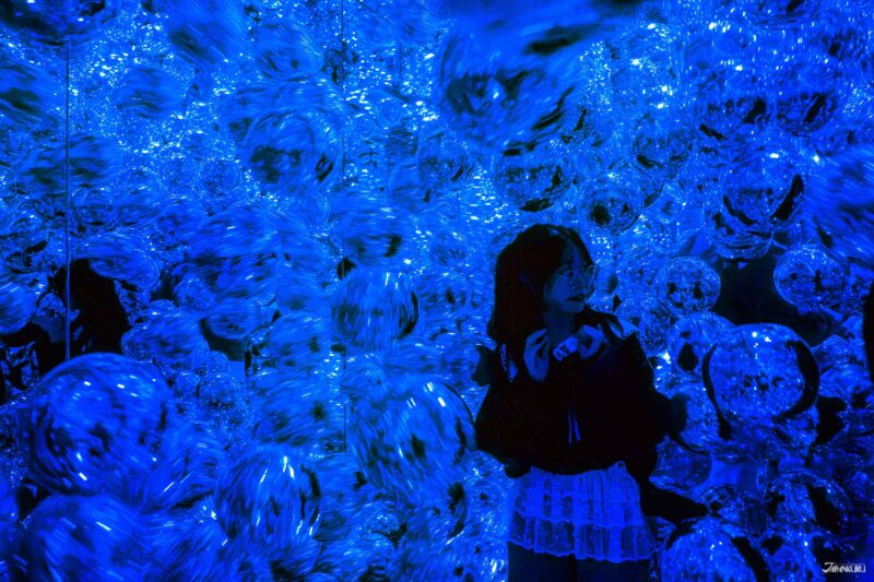 visiting teamLab Biovortex Kyoto