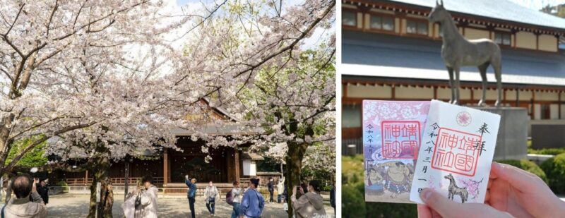 도쿄 벚꽃 한정 고슈인 야스쿠니 신사