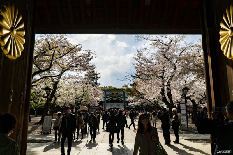 東京櫻花限定御朱印 靖國神社
