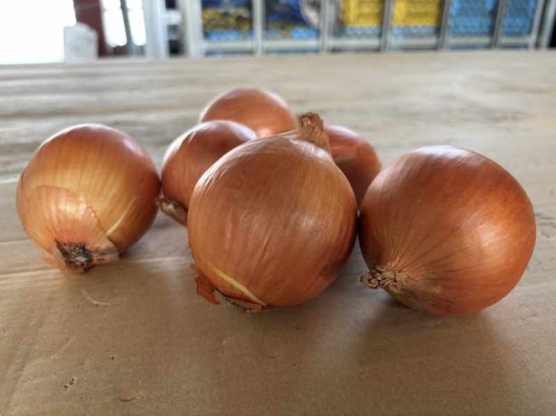 Japanese onions that don't make you cry: the Smile Ball