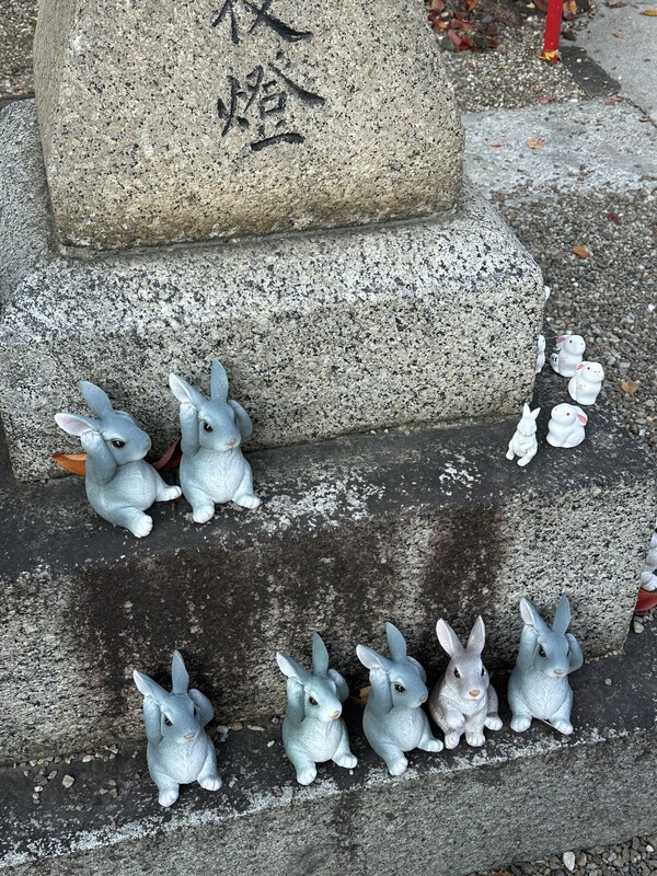 미와 신사 경내에 있는 다양한 토끼 조각상, 행운을 상징하는 포토존