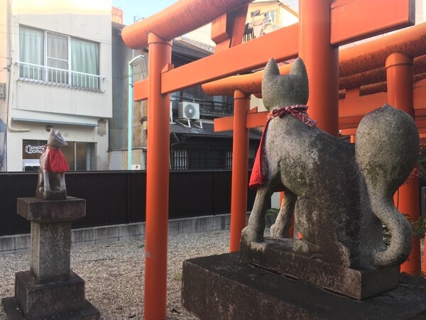 미와 신사 도리이 입구, 나고야 여행 필수 방문 스팟