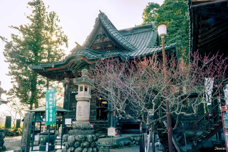 午年秩父34觀音祈福巡禮