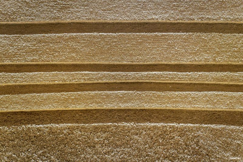 ภาพใกล้ของผนังสีทองกว้างขวางบริเวณโถงชั้น 1 ของพิพิธภัณฑ์