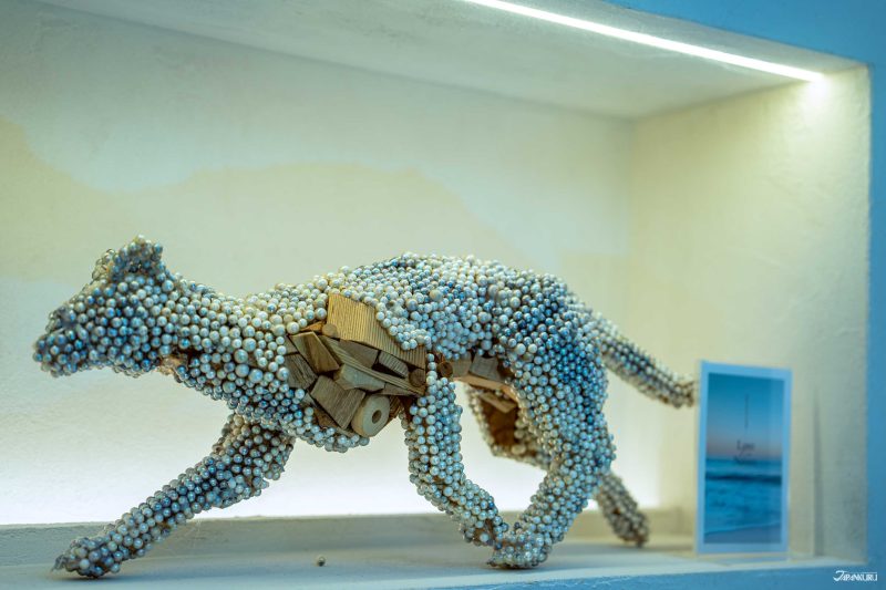 珍珠專賣店WSP 藝術品