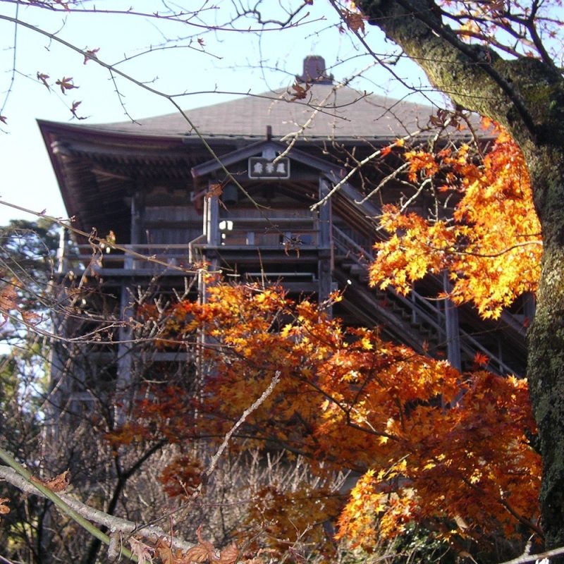 東京近郊活動 千葉笠森觀音寺御開帳
