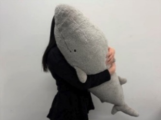 2026墨田水族館 墨田小笠原群島限定周邊商品