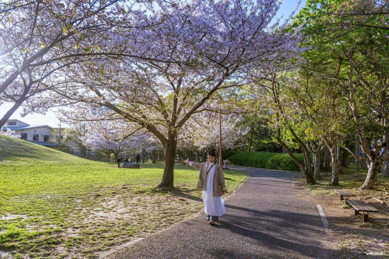 新浦安賞櫻若潮公園