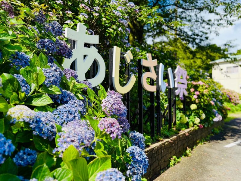 伊豆下田溫泉繡球花祭