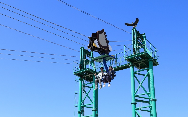 生駒山上遊樂園 老鷹飛行