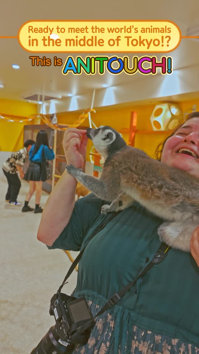 A New Tokyo Animal Destination: Relax & Learn About the World’s Animals in Japan
#pr #japankuru #anitouch #anitouchtokyodome #capybara #capybaracafe #animalcafe #tokyotrip #japantrip #카피바라 #애니터치 #아이와가볼만한곳 #도쿄여행 #가족여행 #東京旅遊 #東京親子景點 #日本動物互動體驗 #水豚泡澡 #東京巨蛋城 #เที่ยวญี่ปุ่น2025 #ที่เที่ยวครอบครัว #สวนสัตว์ในร่ม #TokyoDomeCity #anitouchtokyodome