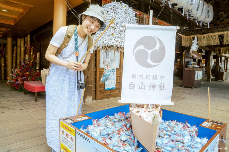 新潟白山神社