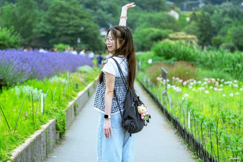 นักท่องเที่ยวถ่ายรูปในสวนโออิชิ พื้นหลังเป็นดอกลาเวนเดอร์