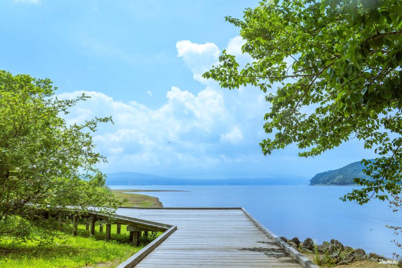 วิวทะเลสาบยามานากะ