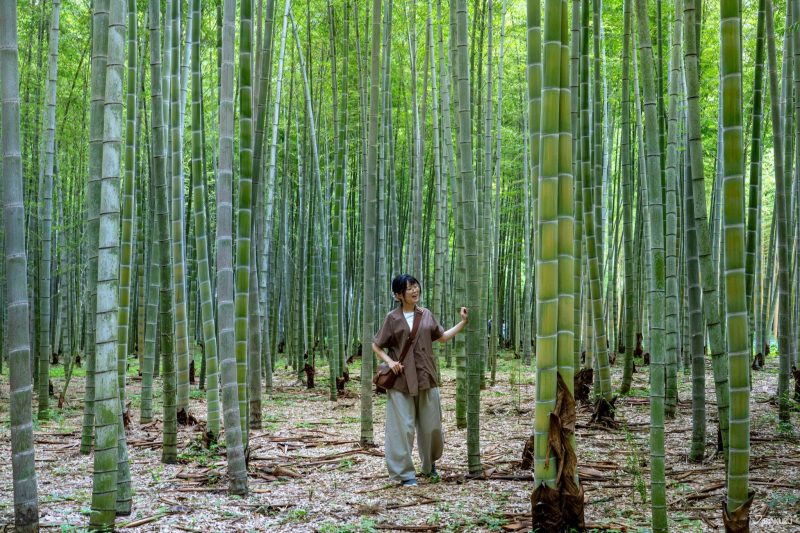 日本孝親之旅 適合長輩旅遊的地點推薦栃木宇都宮