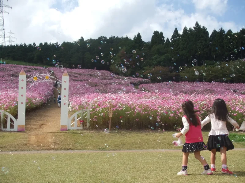 © 2023 Toyama Tourism Organization.