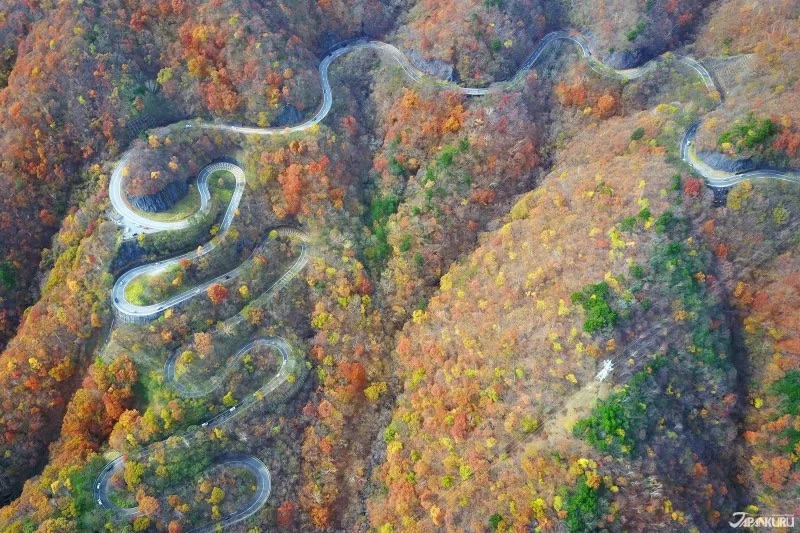 日本孝親之旅 適合長輩旅遊的地點推薦栃木日光