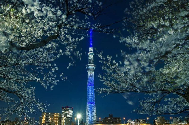 日本孝親之旅 適合長輩旅遊的地點推薦東京晴空塔