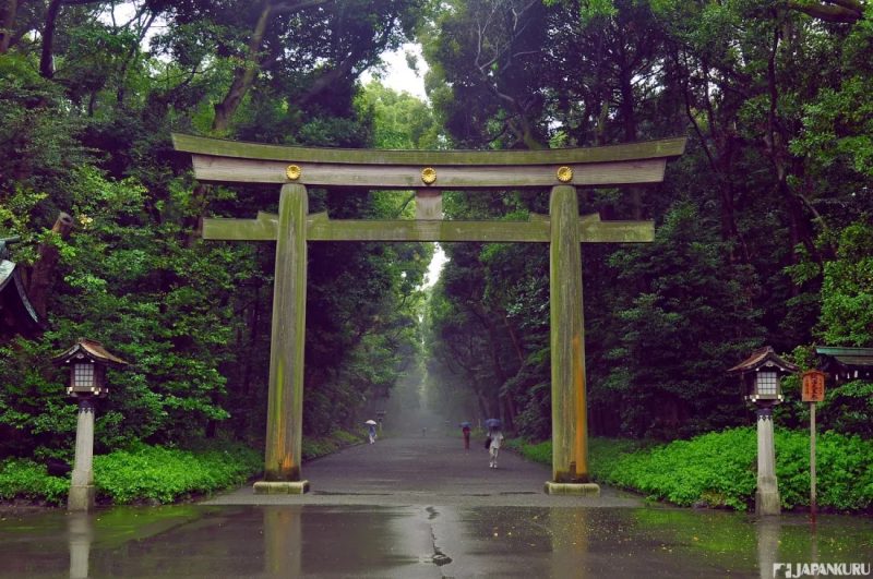日本孝親之旅 適合長輩旅遊的地點推薦明治神宮