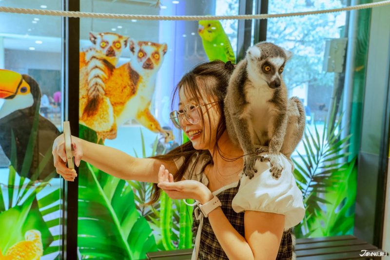 2026台北國際旅展 東京旅遊提案 室內型互動動物園 Anitouch