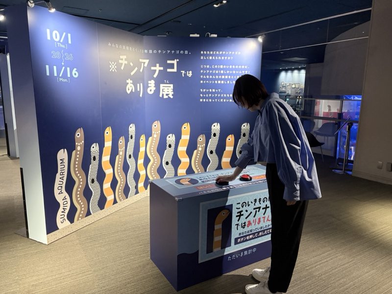 Not a Garden Eel Exhibition at Sumida Aquarium in Tokyo: Celebrate Garden Eel Day!