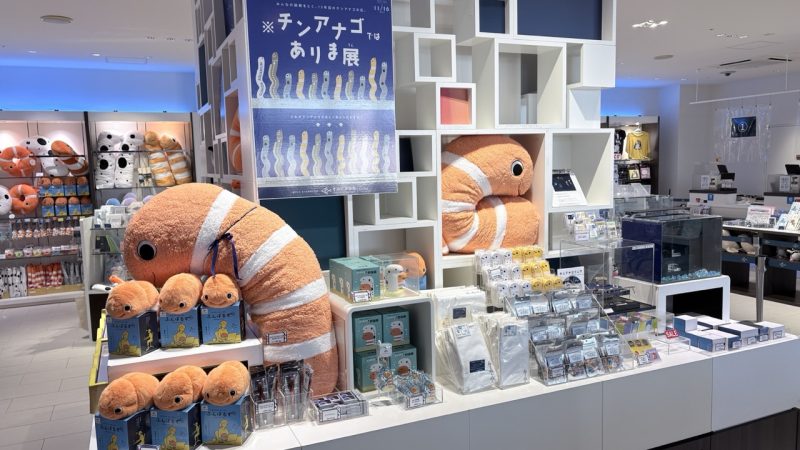 Not a Garden Eel Exhibition at Sumida Aquarium in Tokyo: Celebrate Garden Eel Day!