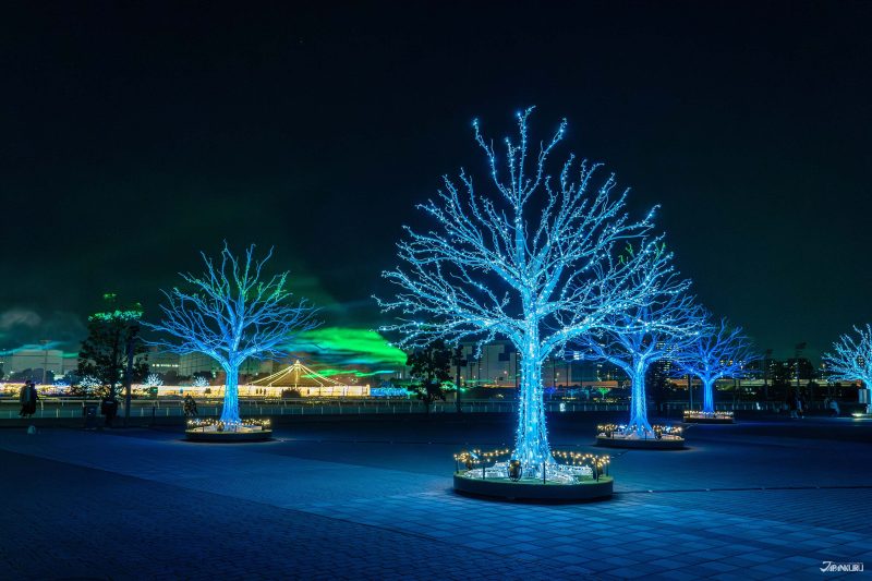 โซนป่าออโรร่า สร้างภาพบรรยากาศแวงเหนือสุดตระการตา