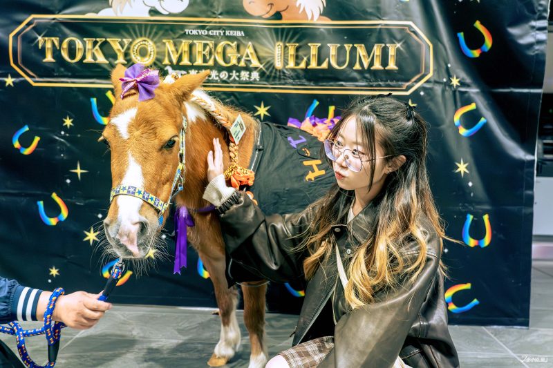 กิจกรรม Miniature Horse & Pony Event ใกล้ชิดกับเหล่าม้าแคระ