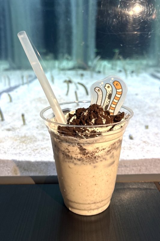 Not a Garden Eel Exhibition at Sumida Aquarium in Tokyo: Celebrate Garden Eel Day!